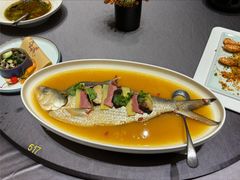 -骏莱海鲜鱼港(五角场店)