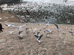 -老味道民宿(栈桥店)