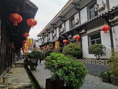 -后柳水乡
