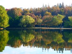 -上海共青森林公园