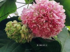 -云溪植物园