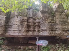 -梭布垭石林景区