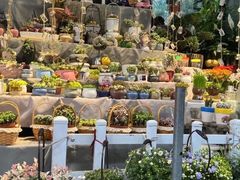 -循礼门鲜花花市(武汉循礼门店)