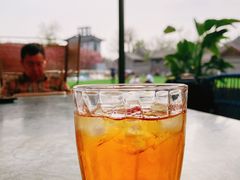 -The Rug Cafe(王府中环店)