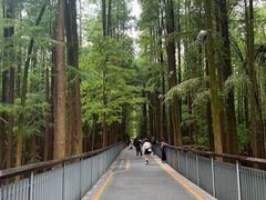 -青山湖景区