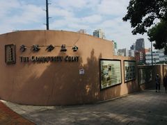 -九龙公园