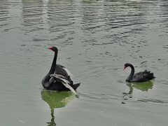 -南翠屏公园