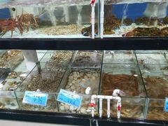 -天鹰观渔(梦园店)