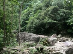 android_upload_pic-安吉龙王山风景区