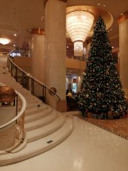 -上海虹桥锦江大酒店·宴会厅