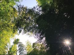 -穹窿山景区