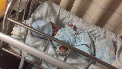 -上海市长宁区妇幼保健院
