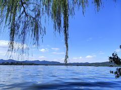 -柳莺湖上·湖景餐厅·江南菜(西湖店)