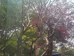 -太子园林酒家