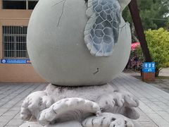 -广东惠东海龟国家级自然保护区