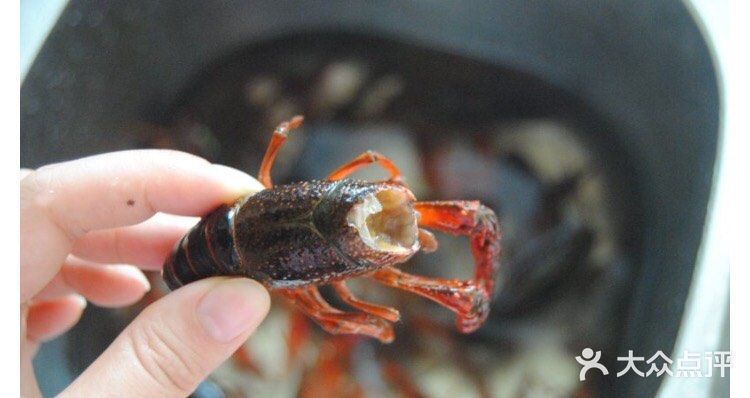 夏季宵夜都爱的麻辣小龙虾