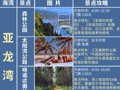 -亚龙湾热带天堂森林公园