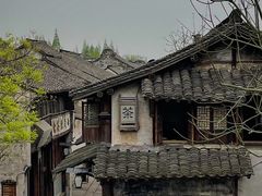 -乌镇景区