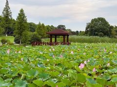 -宜兴龙背山森林公园