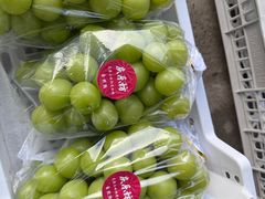 -马陆小张葡萄园农家乐