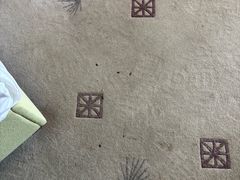 -秦皇岛阿尔卡迪亚滨海度假酒店