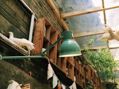 懒鱼时光馆-懒鱼时光馆(沙坪坝店)