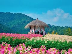 -径山花海