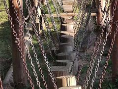 -北京张裕爱斐堡酒庄