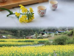 -梧桐山风景名胜区