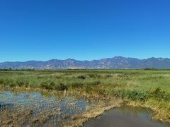 -野鸭湖国家湿地公园
