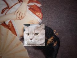 -盘子女人坊古装写真摄影(天津总店)