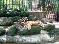 -海南热带野生动植物园