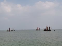 -贡湖湾湿地公园