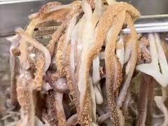 -言玖鲜火锅串串披萨自助(益田假日店)