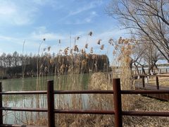 -苏州太湖国家湿地公园