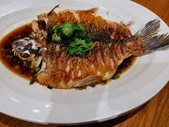 脆鳞蒸白苏丹鱼-同乐轩