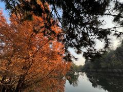 -国家植物园南园