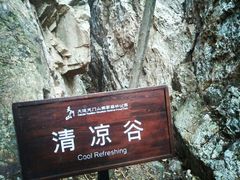 景点-大连天门山国家森林公园