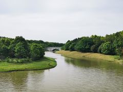 -上海海湾国家森林公园