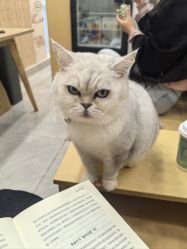 -丽都整形美容医院·全国连锁旗舰店