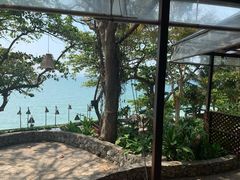 -卷心菜和避孕套餐厅(Pattaya)