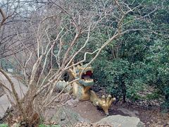 -紫金山山顶公园