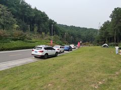 -铁山坪森林公园