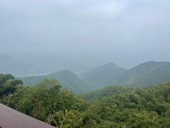 -莫干山风景区