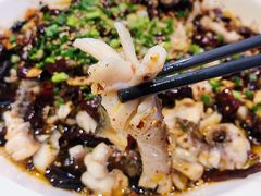 -三猫黑鱼花(南大店)