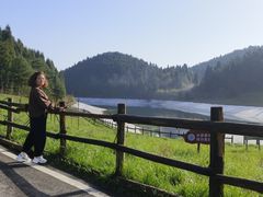 -武陵山森林公园