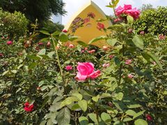 -人民公园(罗湖区)