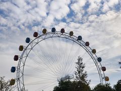 -上海野生动物园