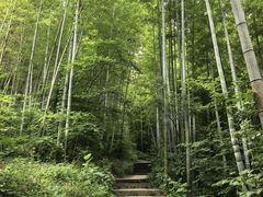 -南山风景名胜区