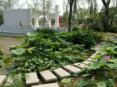 -武清南湖绿博园